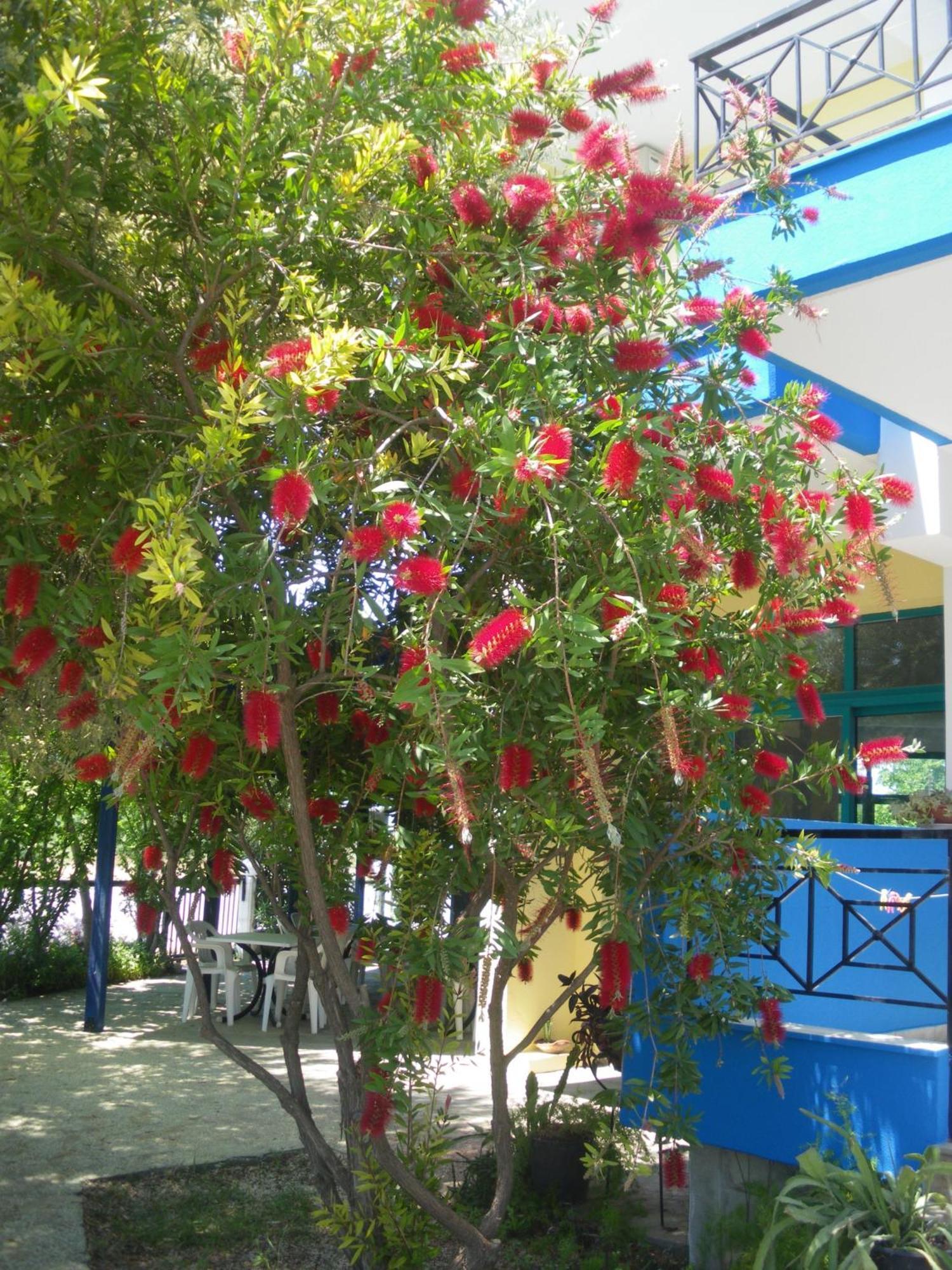 Akti Liakada Hotel Gerakini Exterior photo